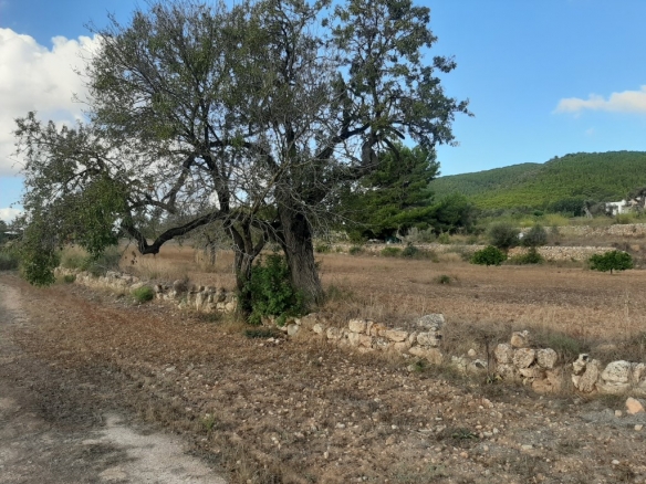 Land for Sale Ibiza